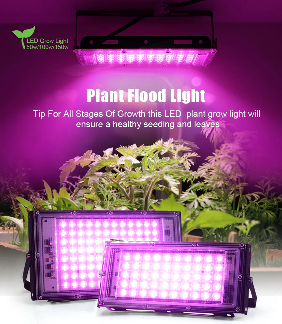 LED Grow Light 50W 100W 150W AC 220V Phyto Lamp Full Spectrum LED Floodlight Indoor Plants Hydroponic Greenhouse Growth Lighting