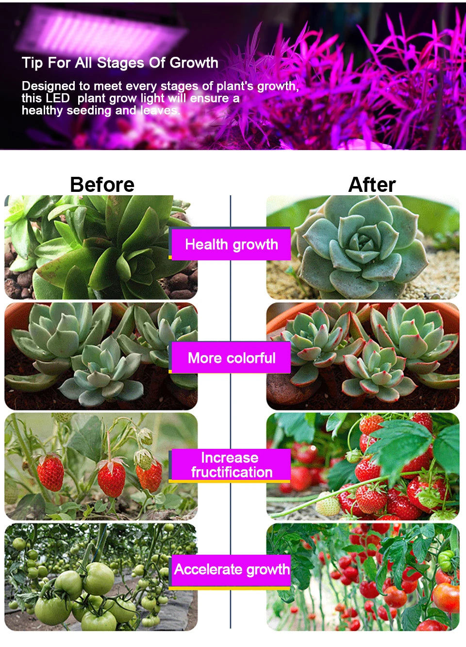 LED Grow Light 50W 100W 150W AC 220V Phyto Lamp Full Spectrum LED Floodlight Indoor Plants Hydroponic Greenhouse Growth Lighting
