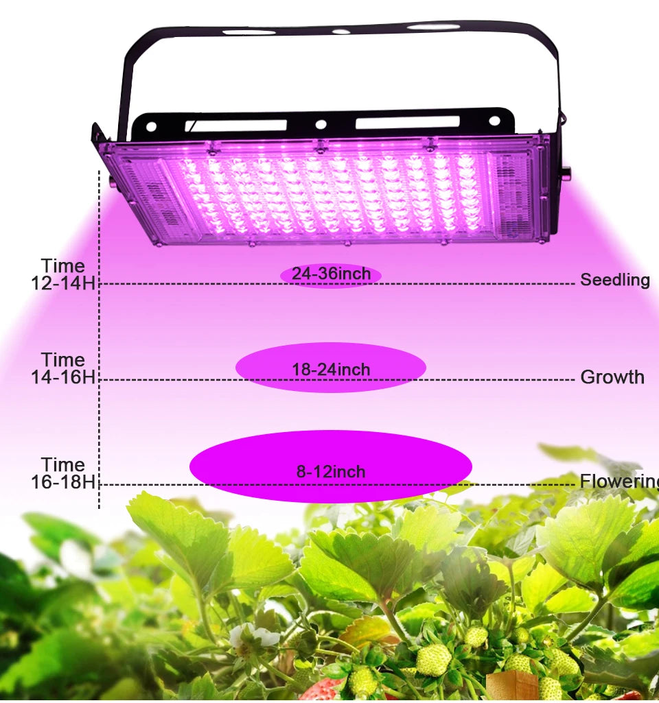 LED Grow Light 50W 100W 150W AC 220V Phyto Lamp Full Spectrum LED Floodlight Indoor Plants Hydroponic Greenhouse Growth Lighting
