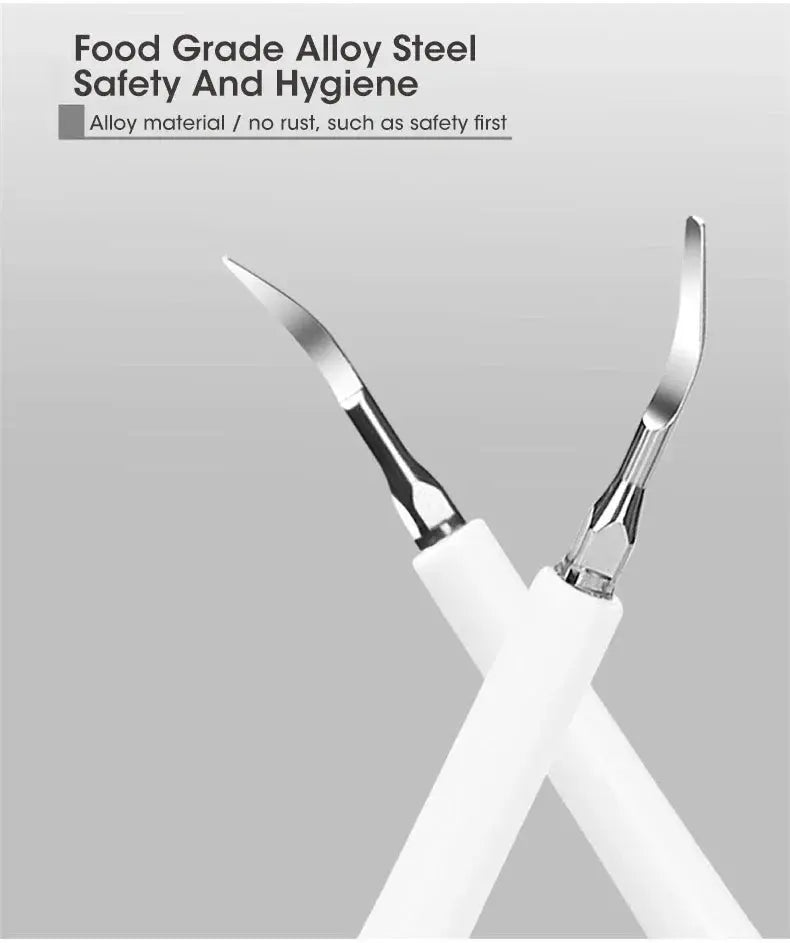 Electric Toothbrush Sonic Dental Teeth Whitening Kit Tooth Whitener Calculus Tartar Remover Tools Cleaner Stain Oral Care.