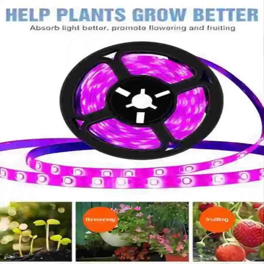1M/2M/3M/5M/10M LED Full Spectrum LED Plant Growth Light 60 Lamp Beads/M Strip LED Fitolampy Greenhouse Plant Seed Growth Light