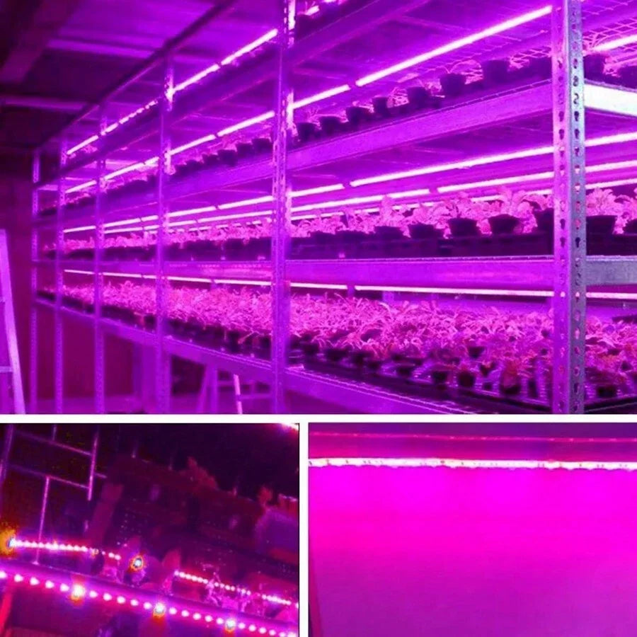 1M/2M/3M/5M/10M LED Full Spectrum LED Plant Growth Light 60 Lamp Beads/M Strip LED Fitolampy Greenhouse Plant Seed Growth Light