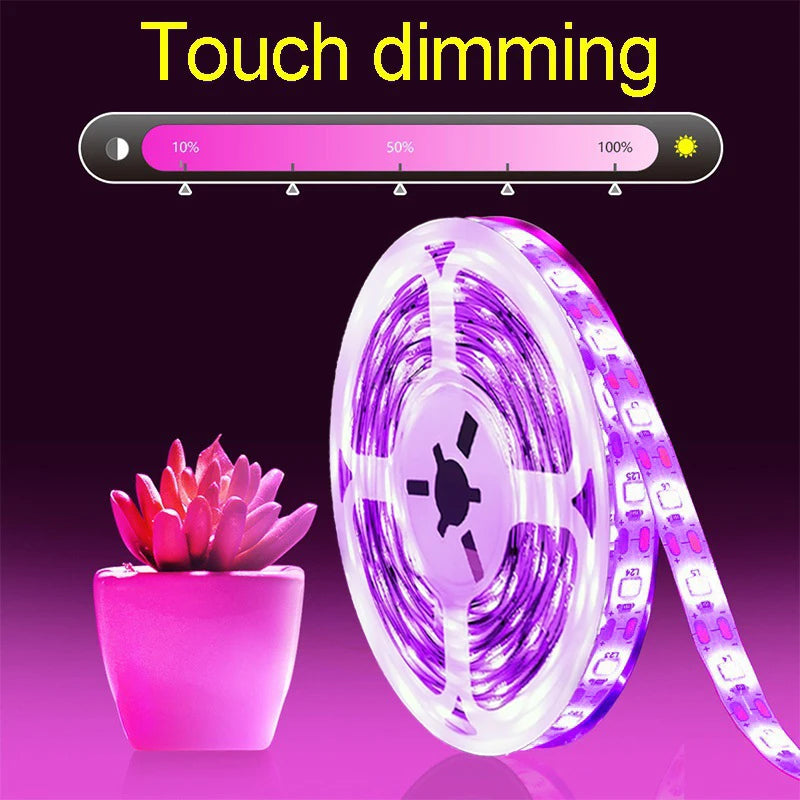 DC 5V USB Led Plant Grow Lights,1m 2m 3m Full Spectrum Phyto Lamp Strip for Plants Hydroponics Greenhouse Growing System
