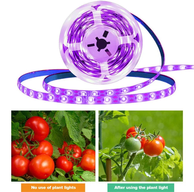 DC 5V USB Led Plant Grow Lights,1m 2m 3m Full Spectrum Phyto Lamp Strip for Plants Hydroponics Greenhouse Growing System