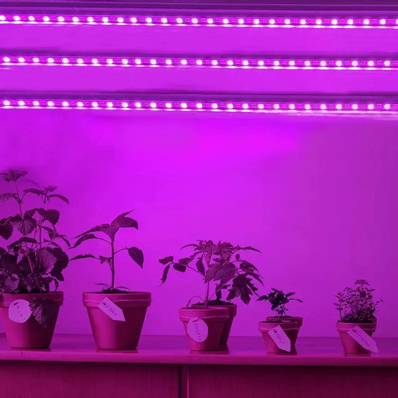 DC 5V USB Led Plant Grow Lights,1m 2m 3m Full Spectrum Phyto Lamp Strip for Plants Hydroponics Greenhouse Growing System