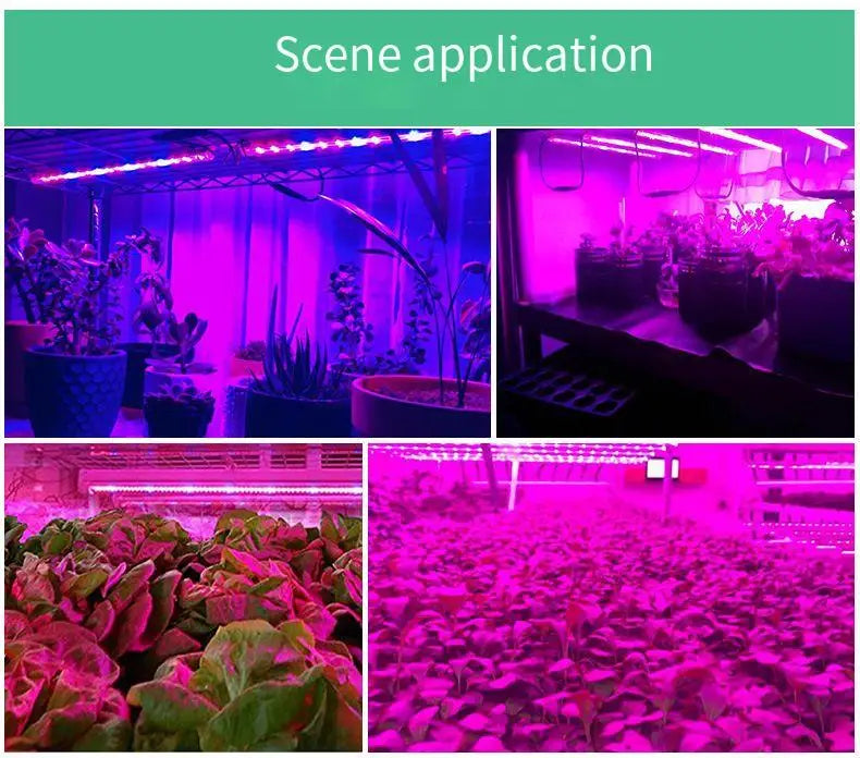 DC 5V USB Led Plant Grow Lights,1m 2m 3m Full Spectrum Phyto Lamp Strip for Plants Hydroponics Greenhouse Growing System