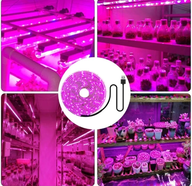 DC 5V USB Led Plant Grow Lights,1m 2m 3m Full Spectrum Phyto Lamp Strip for Plants Hydroponics Greenhouse Growing System