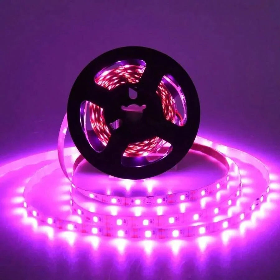 1M/2M/3M/5M/10M LED Full Spectrum LED Plant Growth Light 60 Lamp Beads/M Strip LED Fitolampy Greenhouse Plant Seed Growth Light