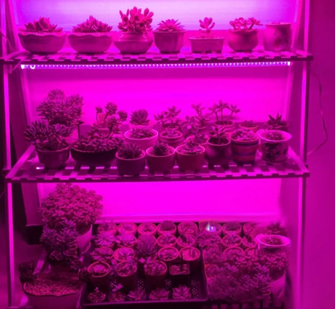 DC 5V USB Led Plant Grow Lights,1m 2m 3m Full Spectrum Phyto Lamp Strip for Plants Hydroponics Greenhouse Growing System